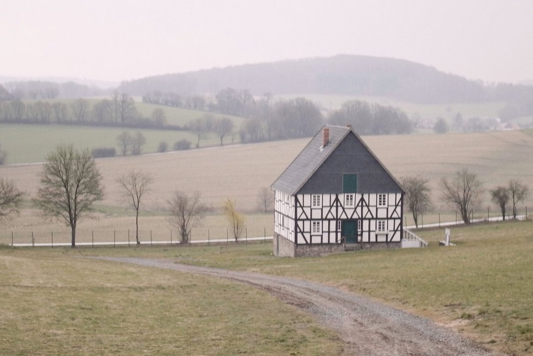 Judenbuche and beyond