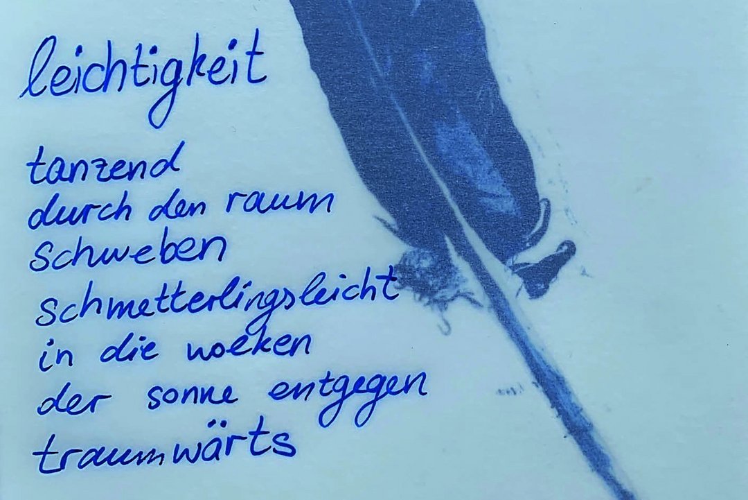 Taubenfeder