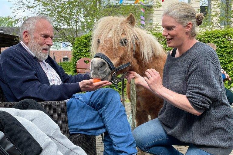 Haus Thomas Ponys