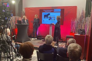 Alex-Talk Herz und Psyche