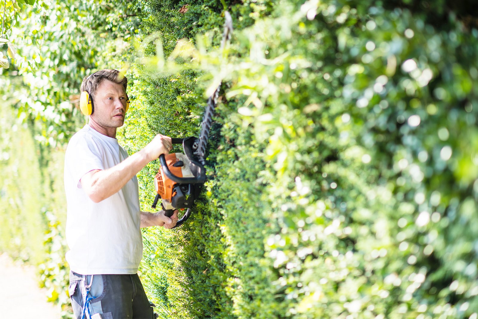 Ein Mann beschneidet eine Hecke mit einer Heckenschere.