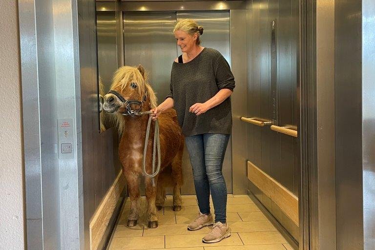 Haus Thomas Ponys