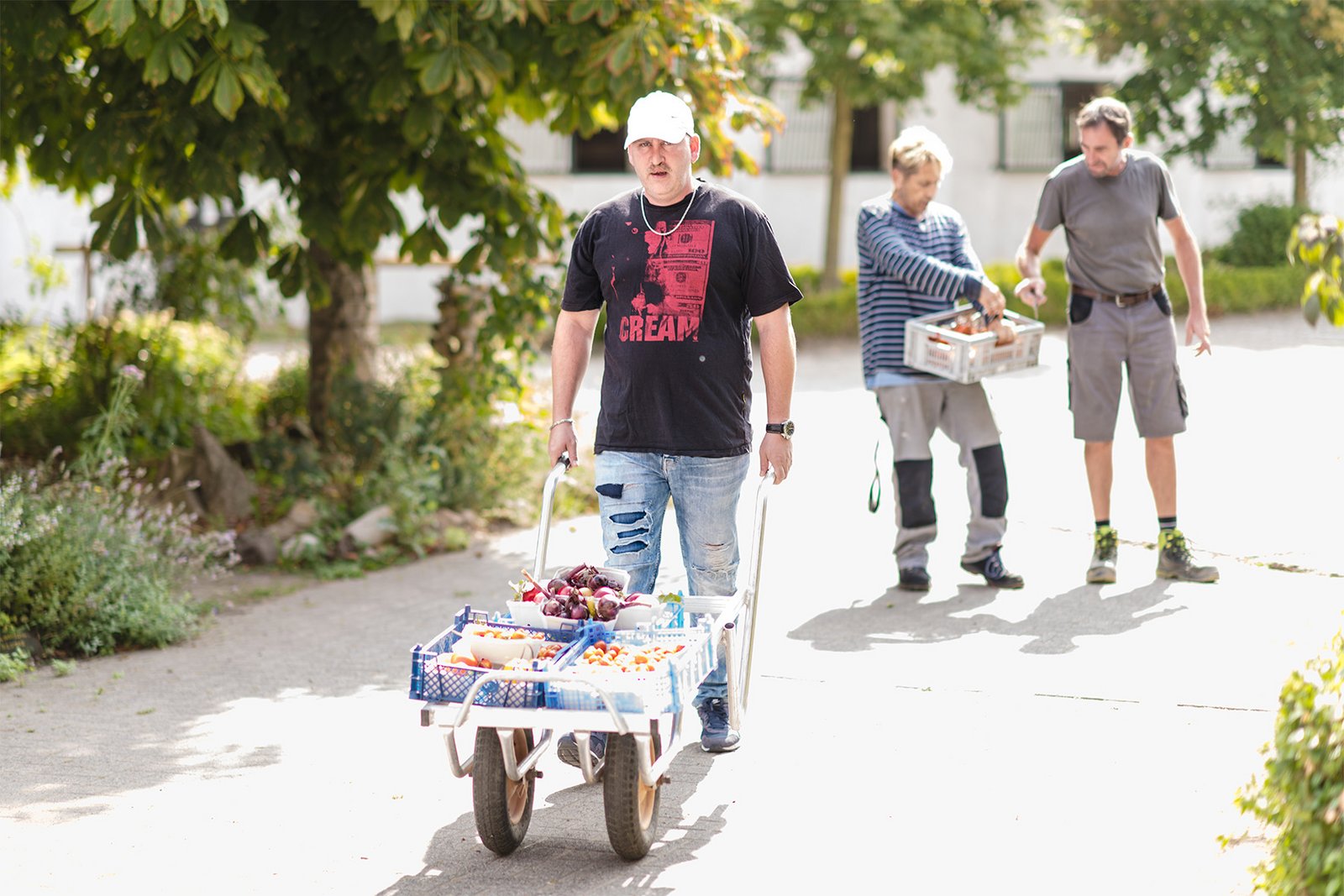 Drei Männer mit Kisten mit geernetetem Gemüse auf der Schubkarre.